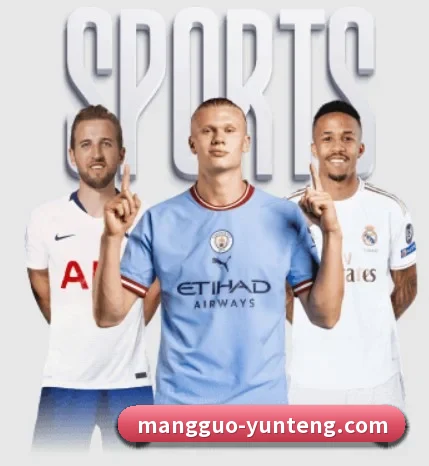 本站五个常用功能入口,赛程查询路径更短 | MangoSport