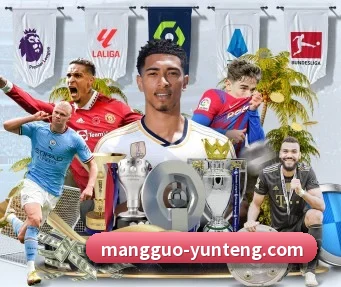 芒果体育 APP | MangoSport